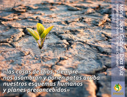 Las cosas de Dios siempre nos asombran