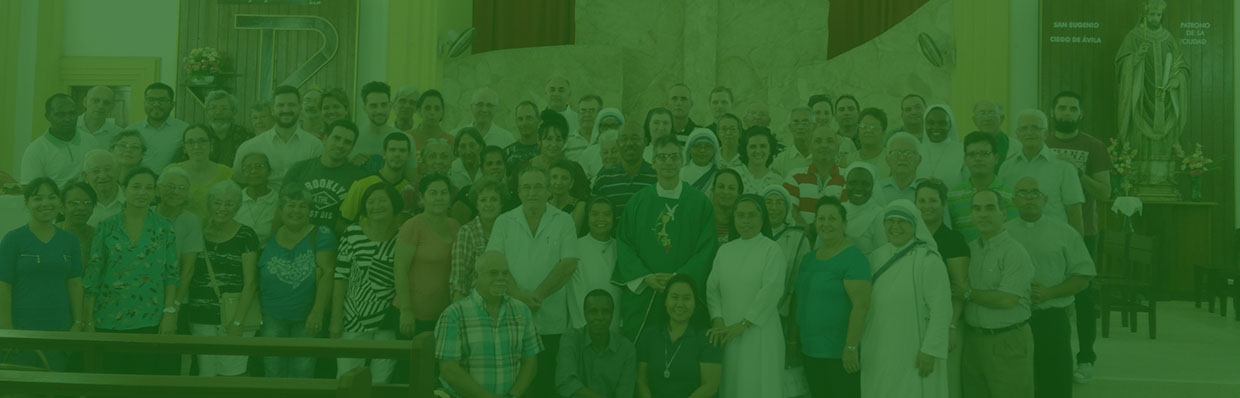 Consejos Diocesanos de Pastoral